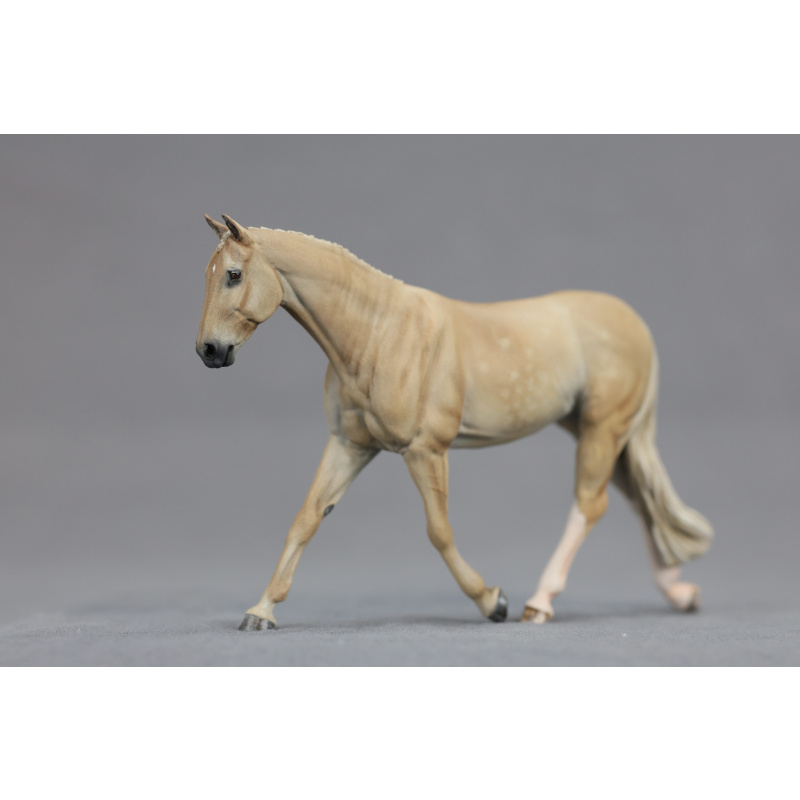 Stablemate dappled palomino Strawberry