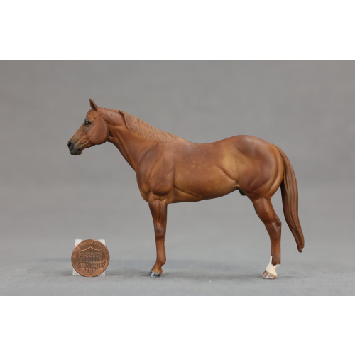 Venti chestnut Fusilero