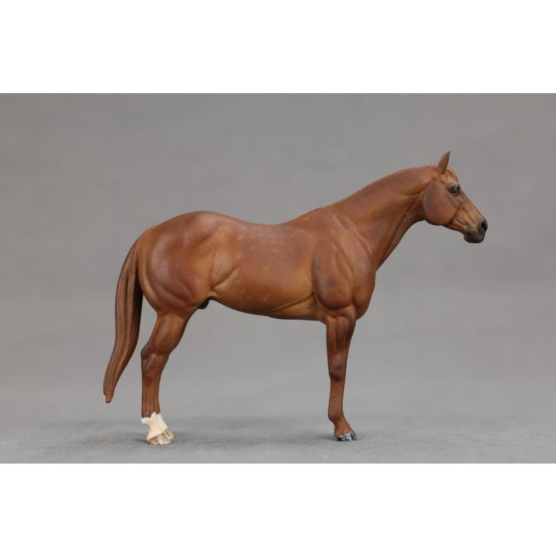 Venti chestnut Fusilero