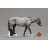 Venti Bay Roan Chocolate Covered