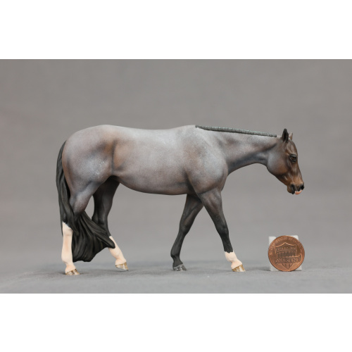 Venti Bay Roan Chocolate Covered