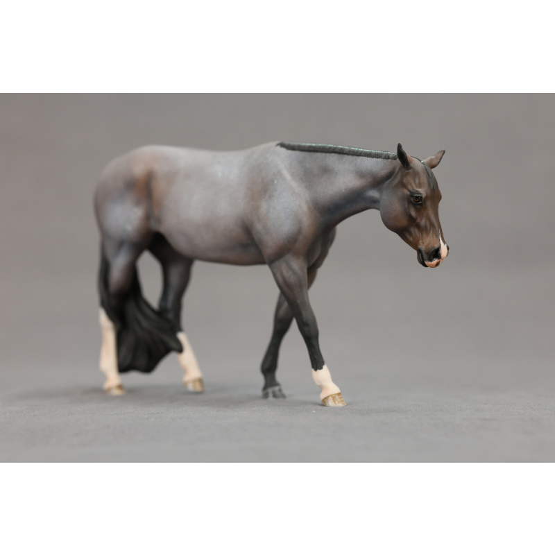 Venti Bay Roan Chocolate Covered