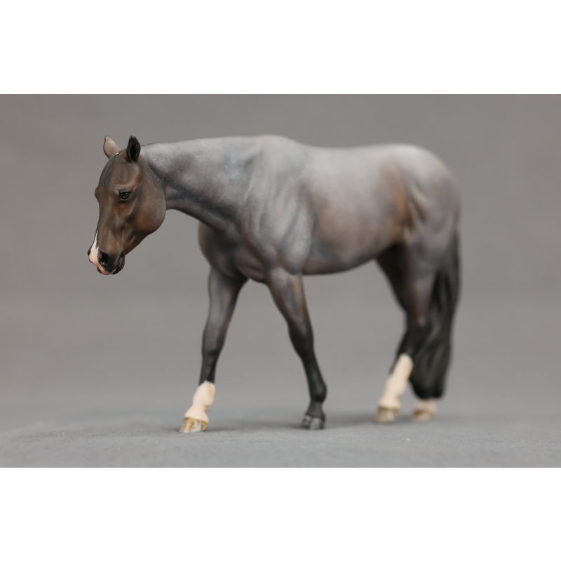 Venti Bay Roan Chocolate Covered