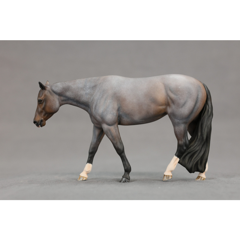 Venti Bay Roan Chocolate Covered