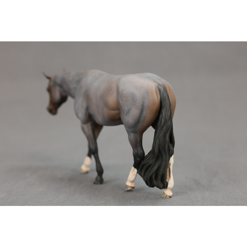 Venti Bay Roan Chocolate Covered