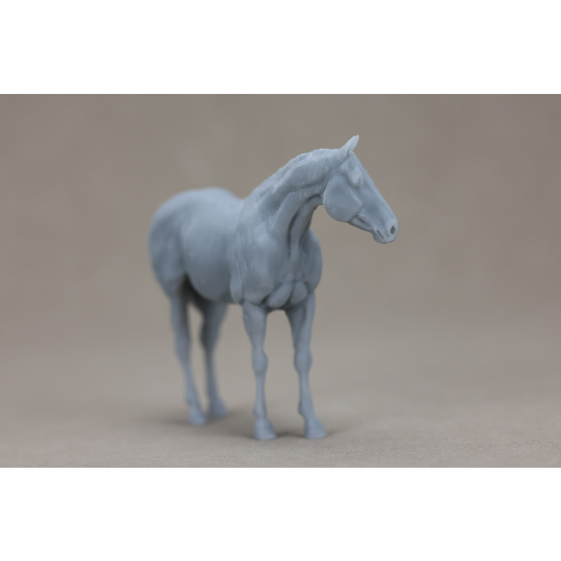 Pickle UNPAINTED stablemate