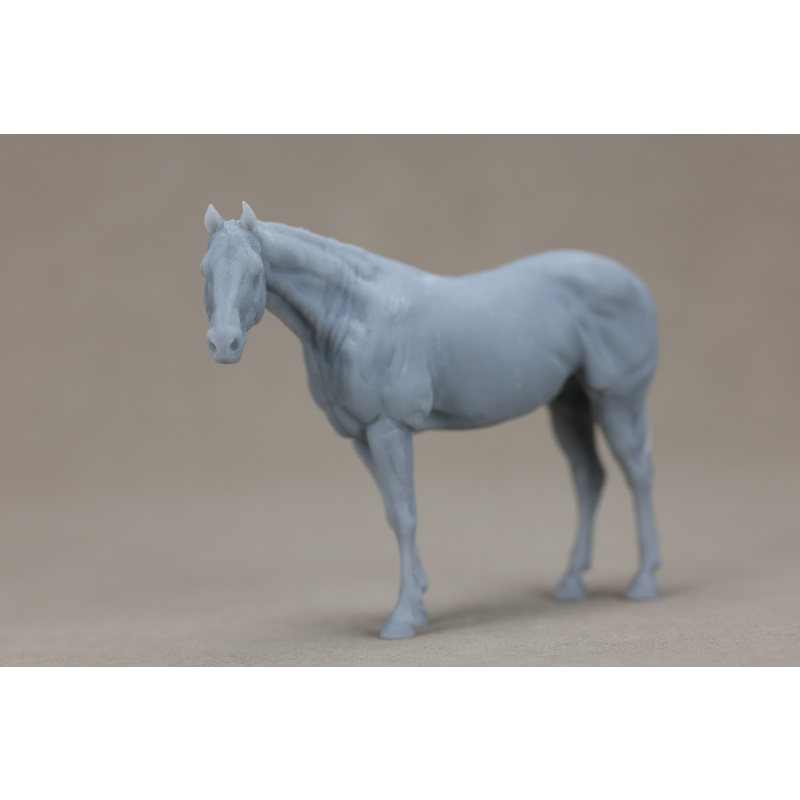 Pickle UNPAINTED stablemate