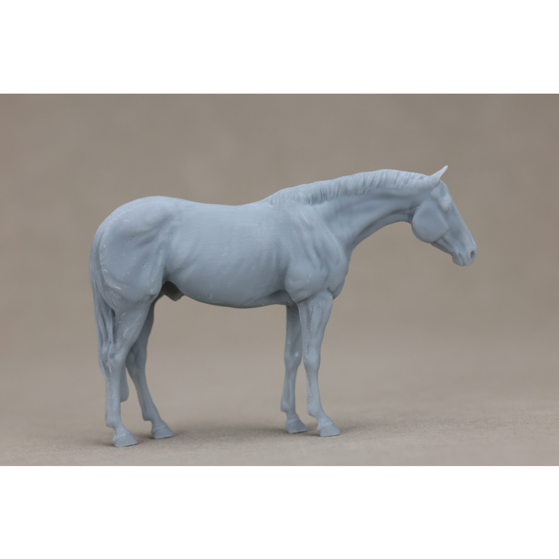 Parmesan UNPAINTED stablemate