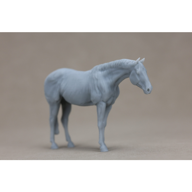 Parmesan UNPAINTED stablemate