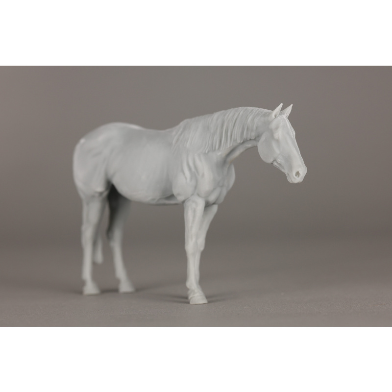 Buffalo UNPAINTED venti 1:20