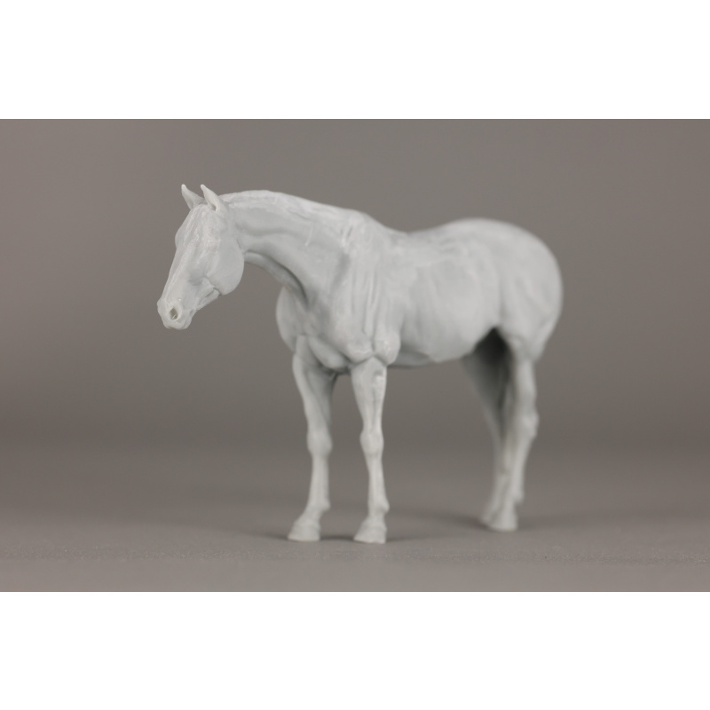 Buffalo UNPAINTED venti 1:20