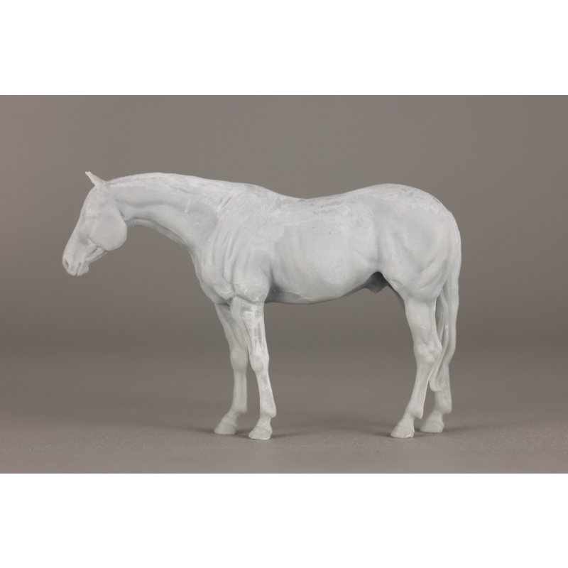 Buffalo UNPAINTED venti 1:20