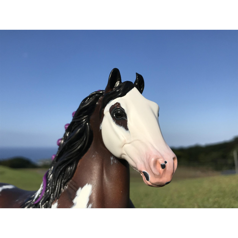 Poi | Custom Classic Shire