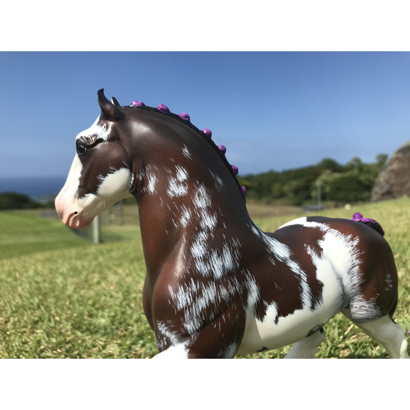 Poi | Custom Classic Shire
