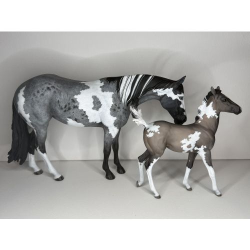 Custom Breyer mare and foal - Blue roan pinto and grulla pinto Firefly and Hawkeye
