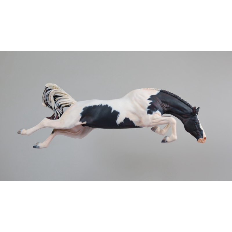 Maggie Bennett Venti WASP | Black Pinto