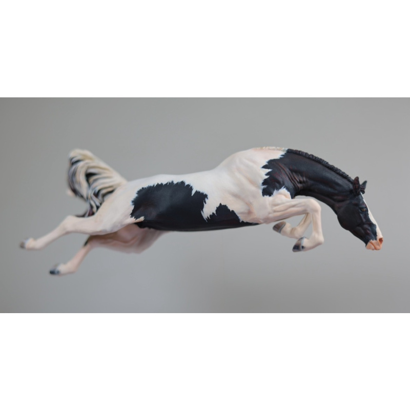 Maggie Bennett Venti WASP | Black Pinto