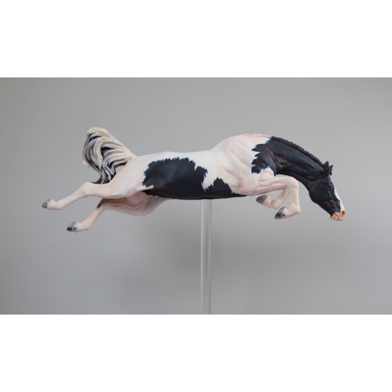 Maggie Bennett Venti WASP | Black Pinto