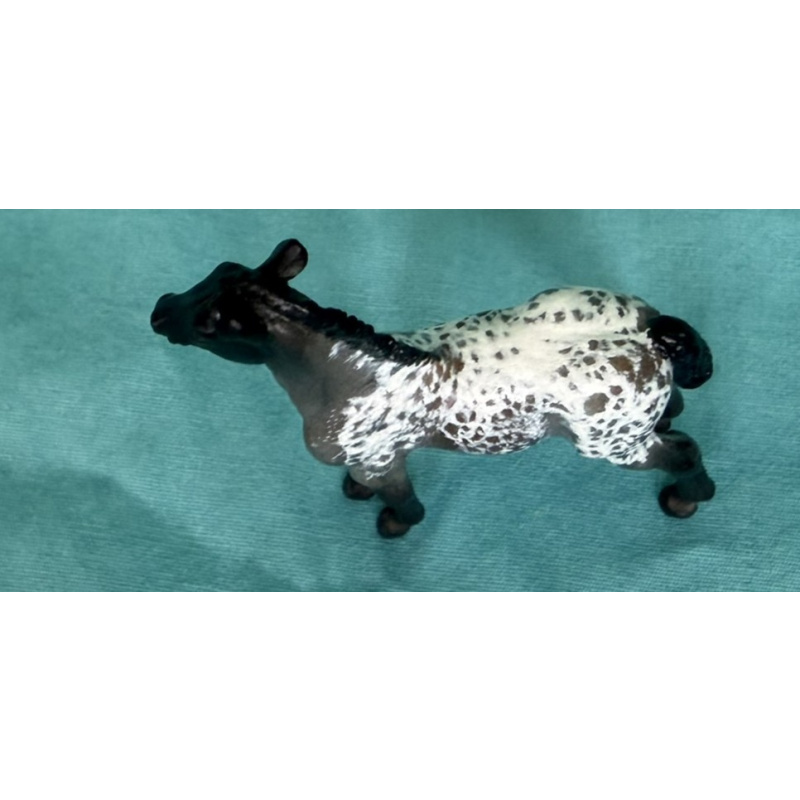 Kelly Sealey Savage Moonlit Dale - painted by Meghan Namaste