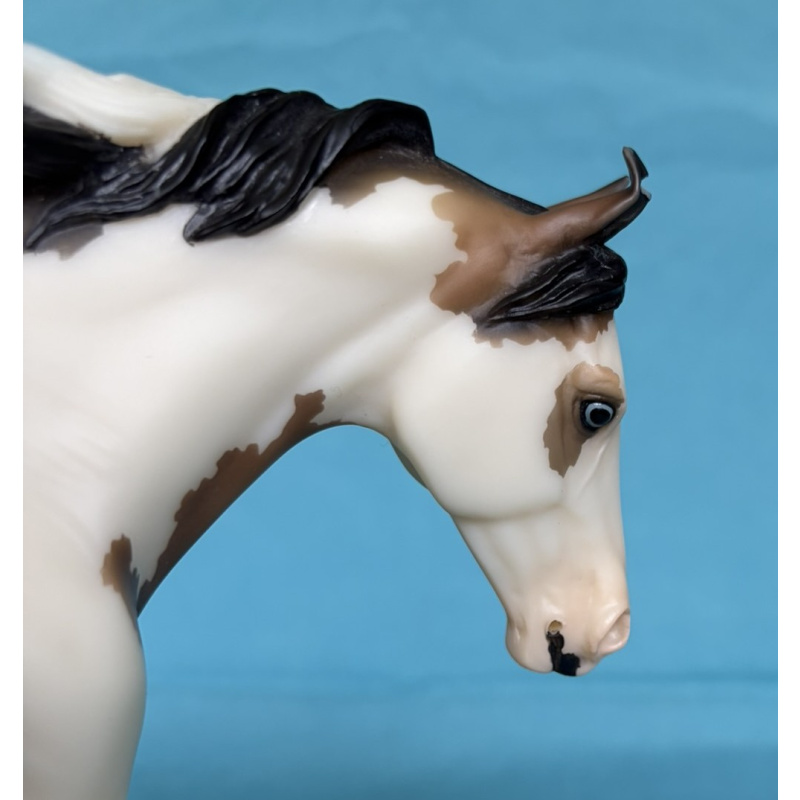 Duwamish - Seattle Soiree Event Model