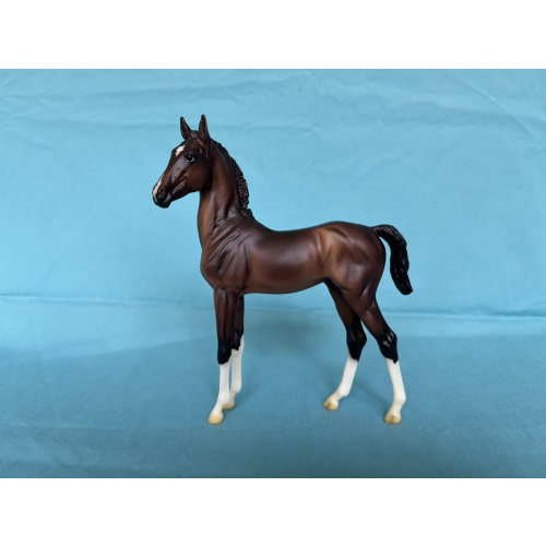 Hackney from TB and Hackney Foal Set