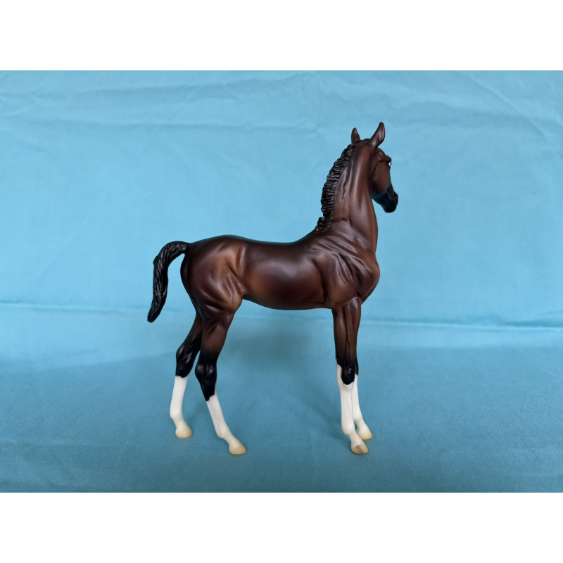 Hackney from TB and Hackney Foal Set