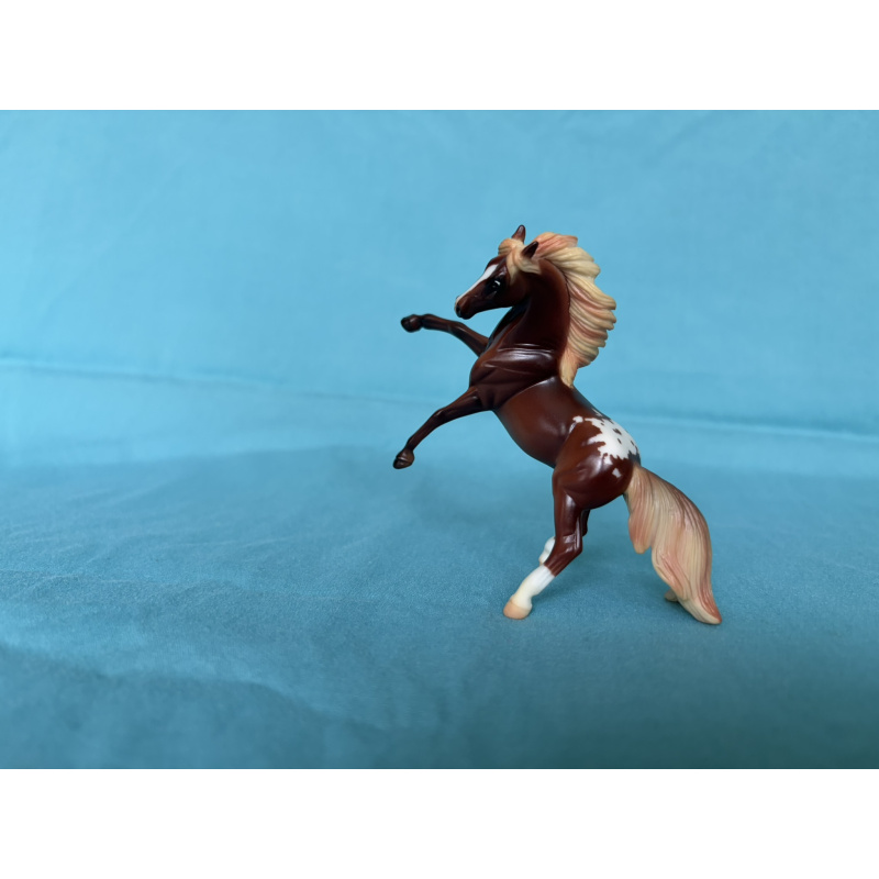 Chestnut Appaloosa Rearing Andalusian - JCP Parade of Breeds V