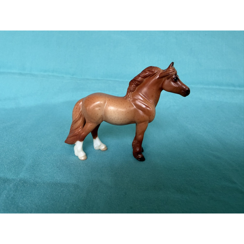 Red Roan Highland Pony