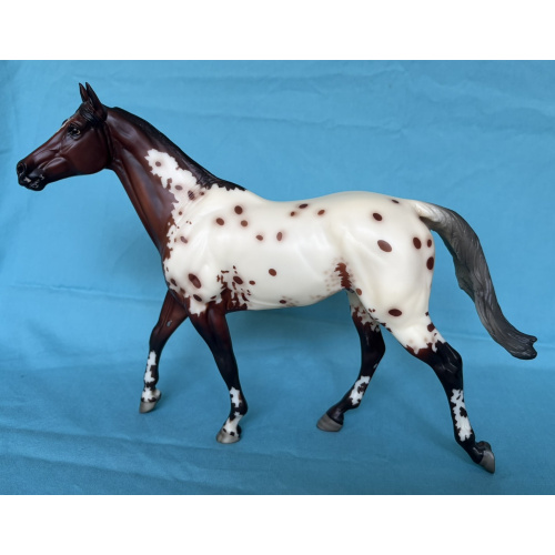 Bonne Fête - 2014 BreyerFest SR