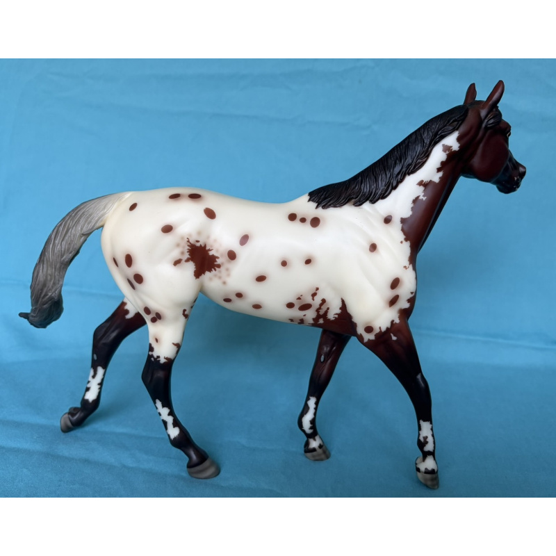 Bonne Fête - 2014 BreyerFest SR