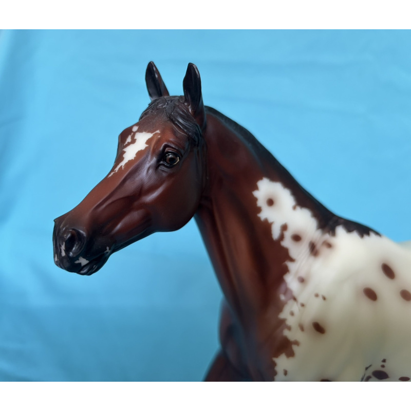 Bonne Fête - 2014 BreyerFest SR