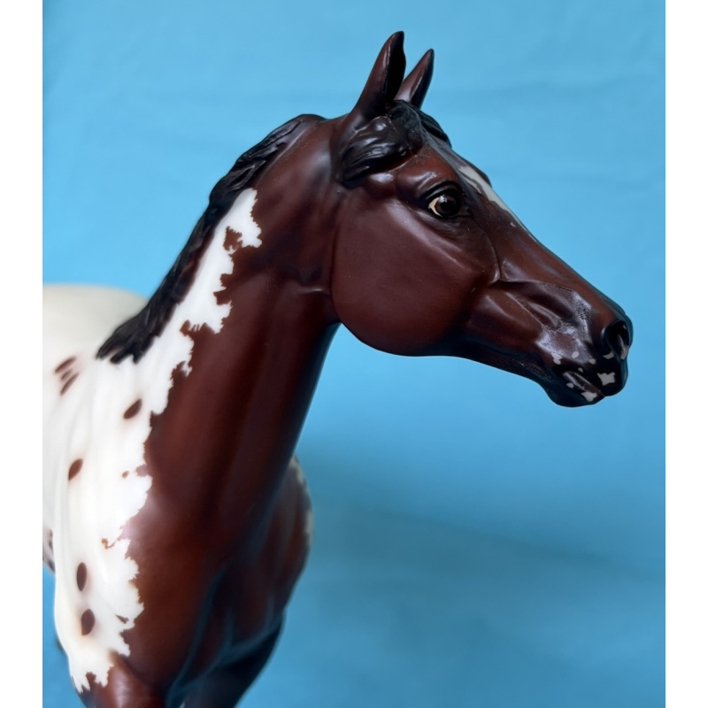 Bonne Fête - 2014 BreyerFest SR