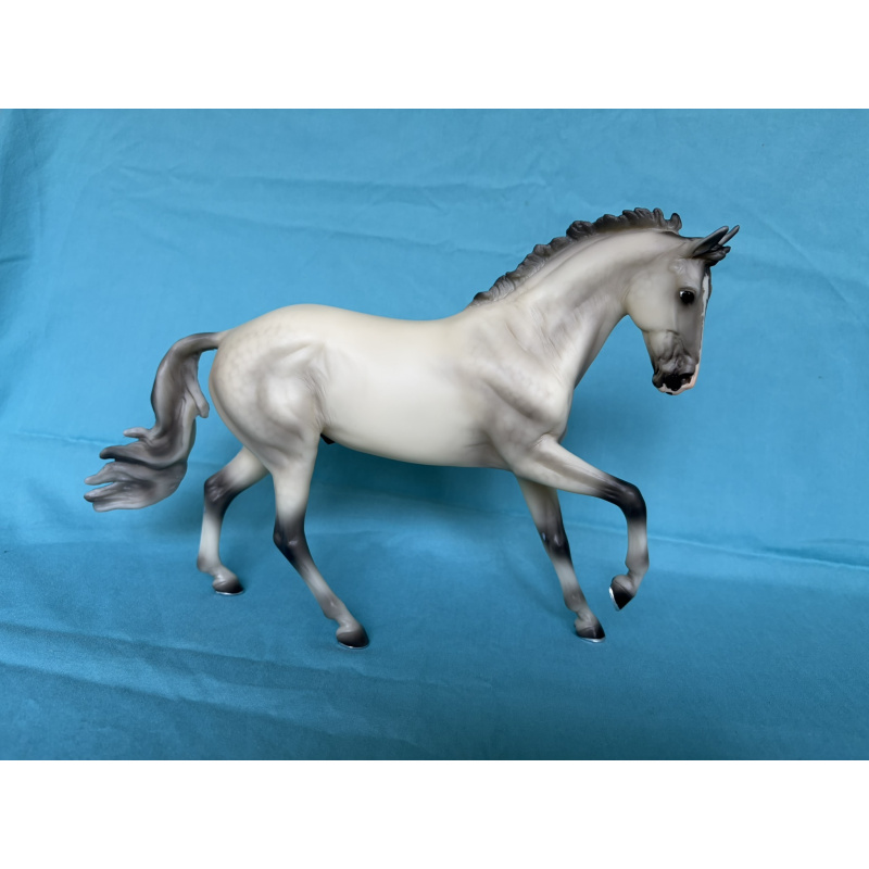 Catch Me - Light Gray Cantering WB