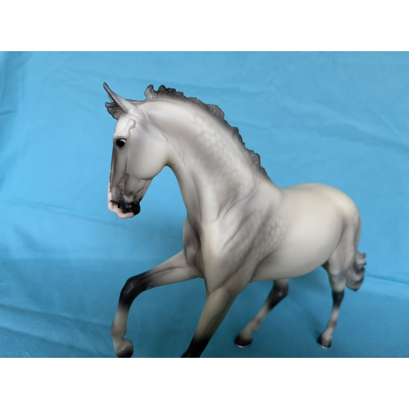 Catch Me - Light Gray Cantering WB