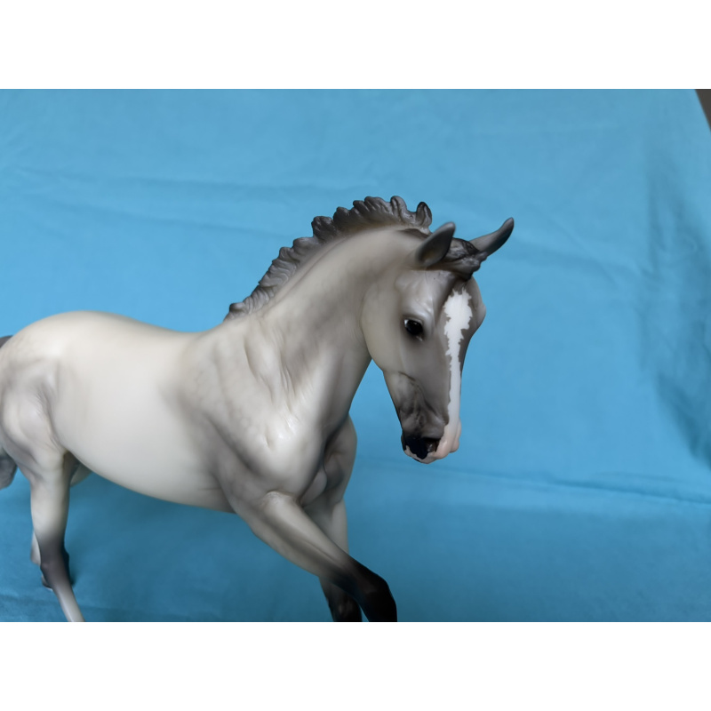 Catch Me - Light Gray Cantering WB