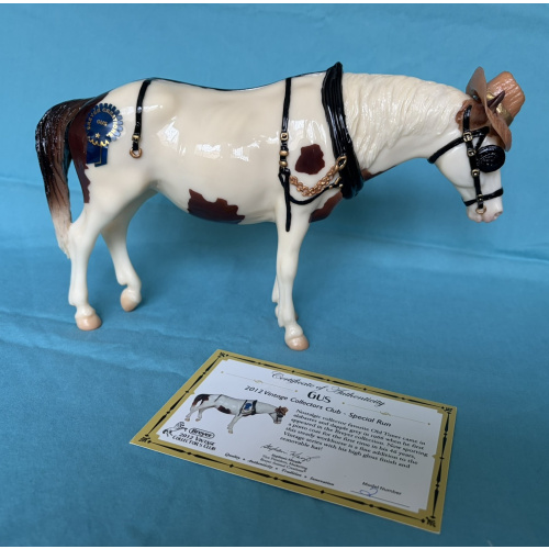 Gus - 2012 Vintage club