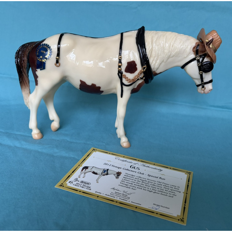 Gus - 2012 Vintage club