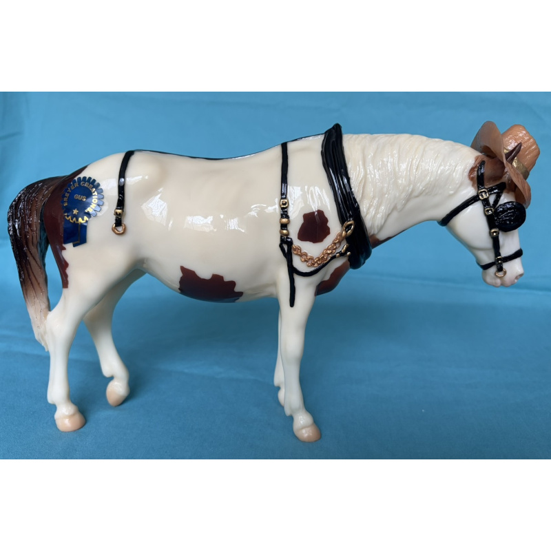 Gus - 2012 Vintage club