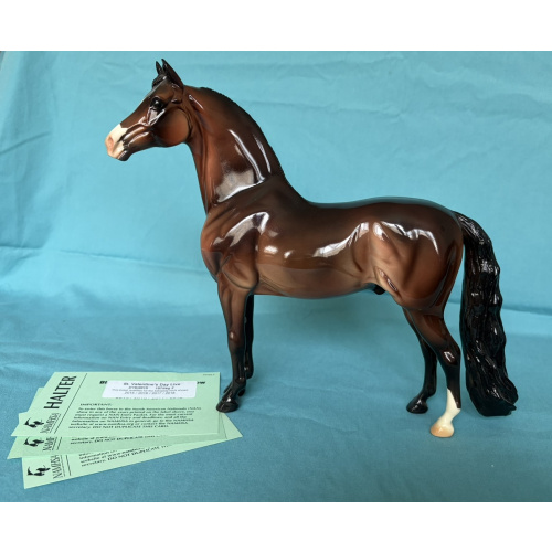 2013 Eureka Live Trophy - Glossy Bay Morgan - 12 Produced