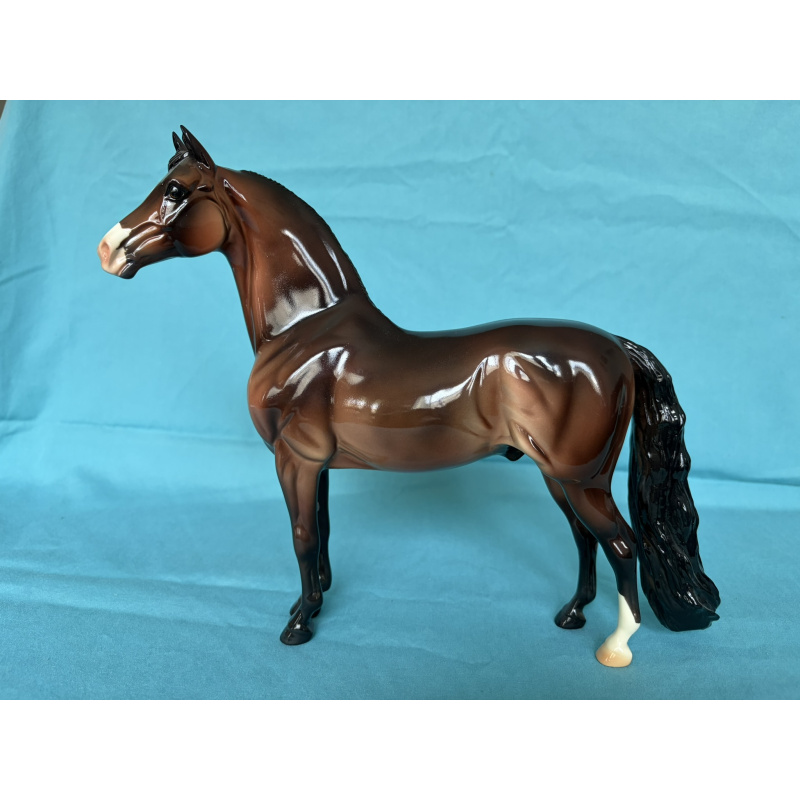 2013 Eureka Live Trophy - Glossy Bay Morgan - 12 Produced