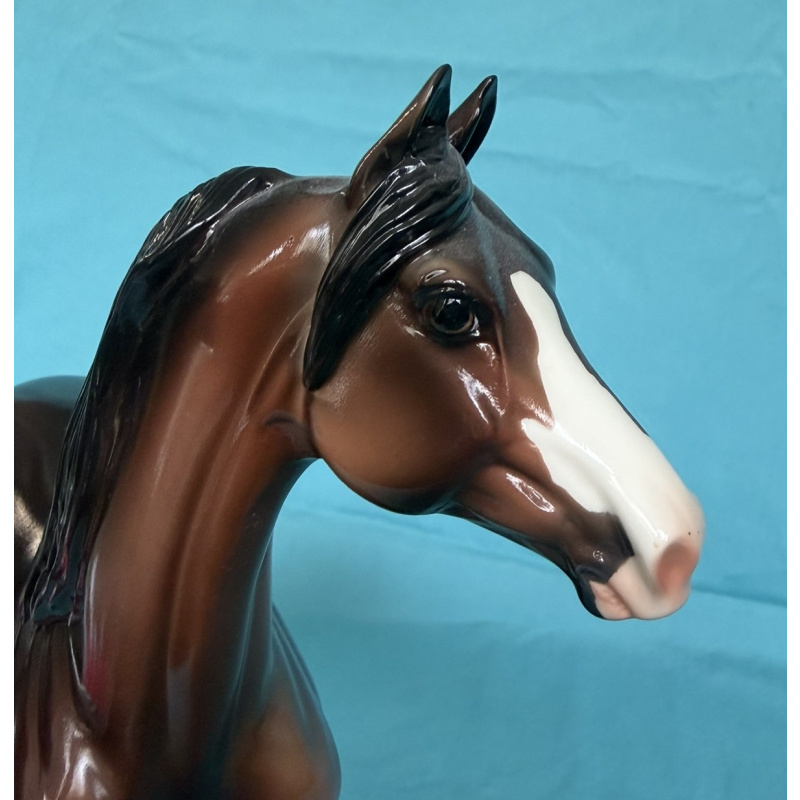 2013 Eureka Live Trophy - Glossy Bay Morgan - 12 Produced