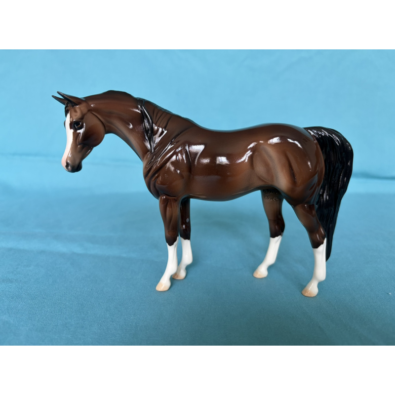 2015 Eureka Live Trophy - Glossy Bay Pebbles Arabian