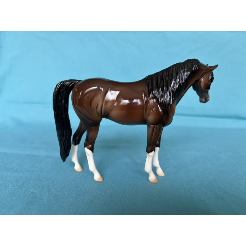 2015 Eureka Live Trophy - Glossy Bay Pebbles Arabian