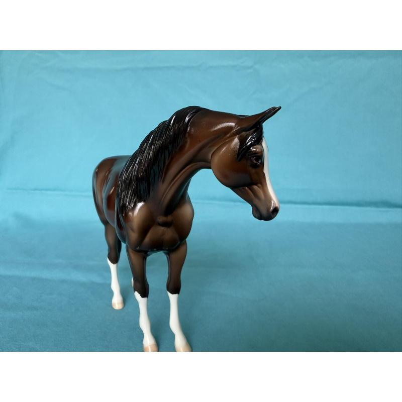 2015 Eureka Live Trophy - Glossy Bay Pebbles Arabian