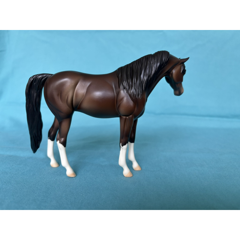 2015 Eureka Live Trophy - Matte Bay Pebbles Arabian