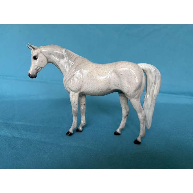 Vassar - 2009 Glossy Fleabite Grey