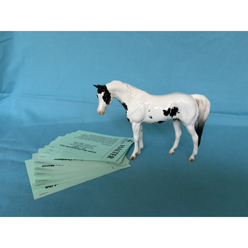 Celebrity - Glossy 2009 Equilocity SR