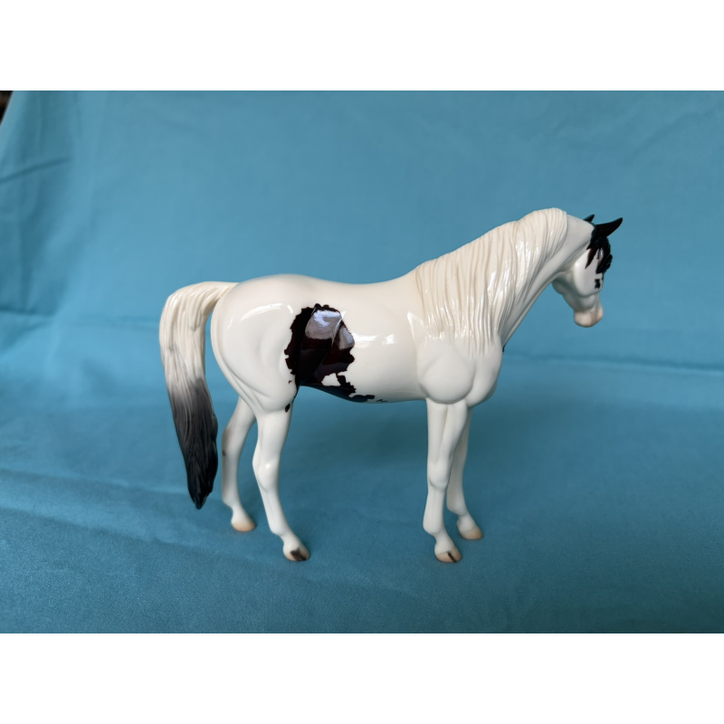 Celebrity - Glossy 2009 Equilocity SR