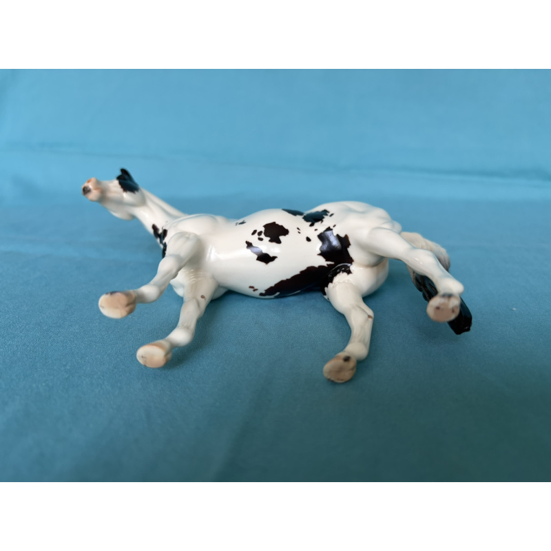 Celebrity - Glossy 2009 Equilocity SR