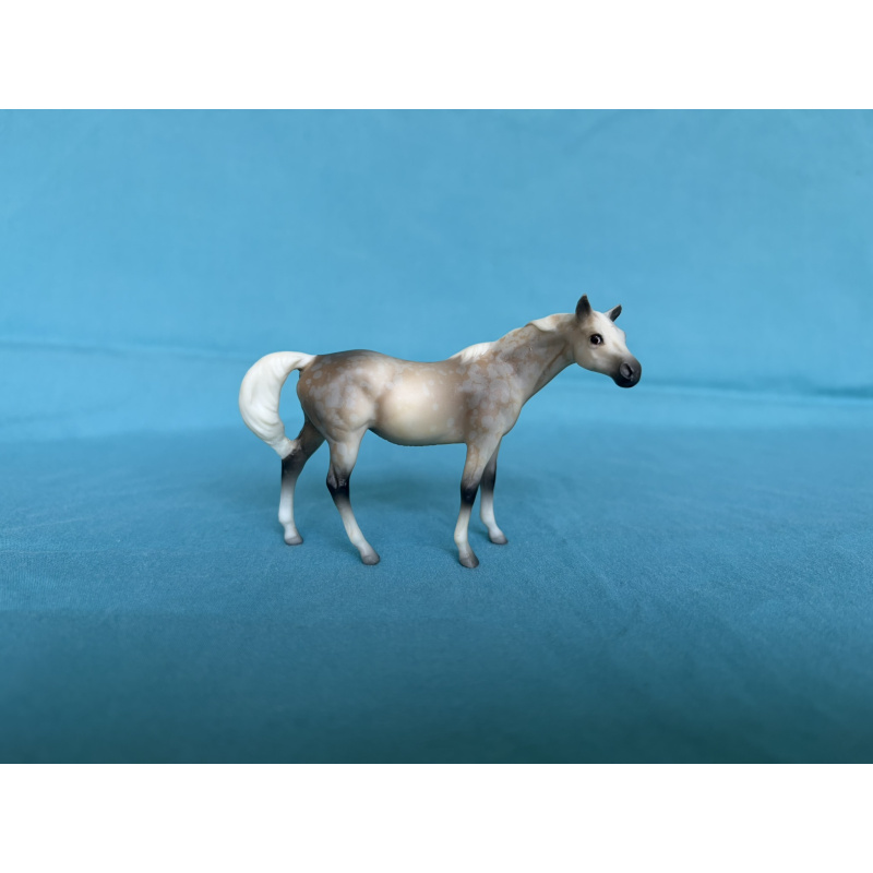 Rose Grey G1 TB Mare - JCP Parade of Breeds I